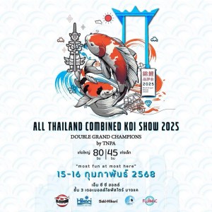 All Thailand Combined Koi Show 2025: ข้อมูลก่อนงานและ Double Grand Champions