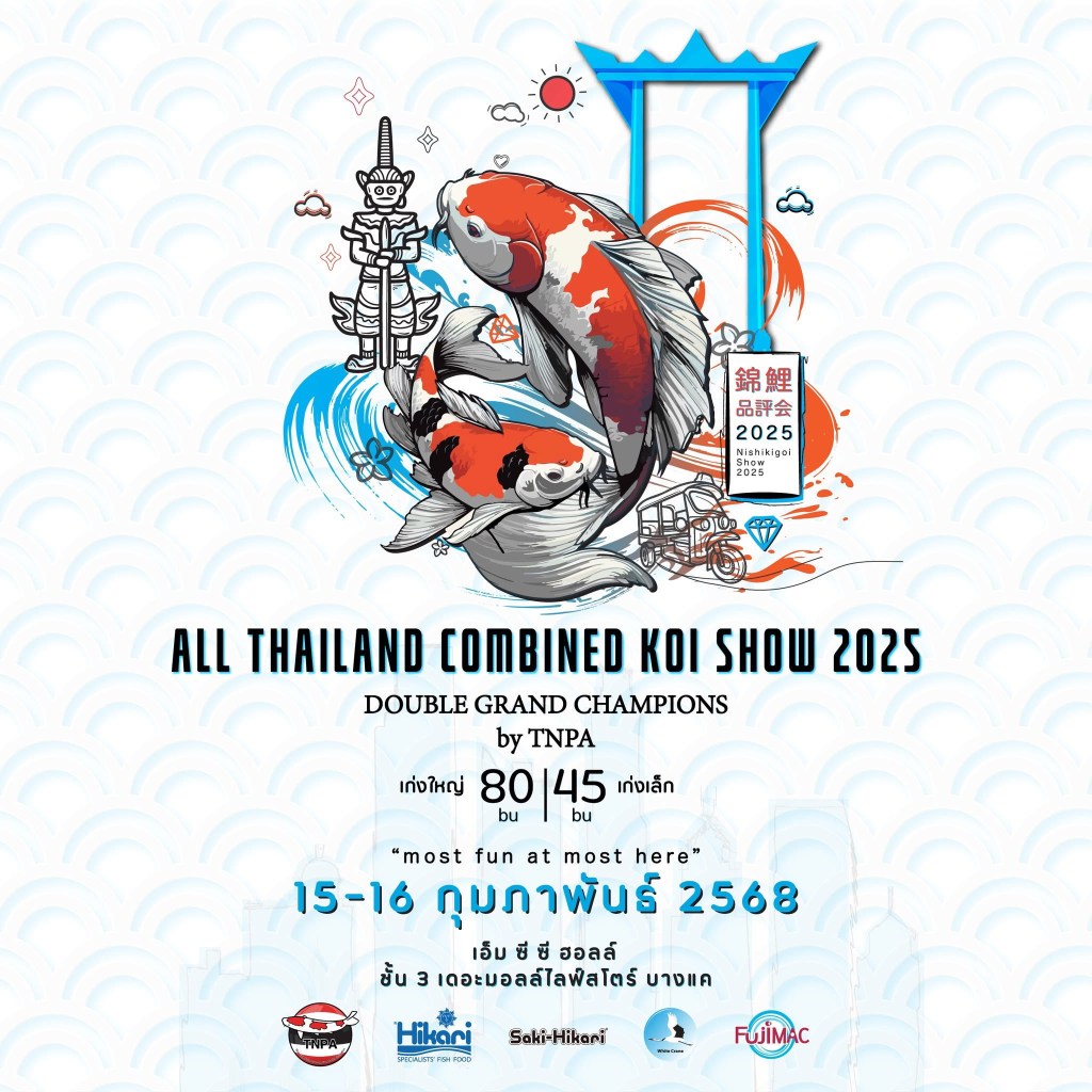 All Thailand Combined Koi Show 2025: สรุปผลและบรรยากาศงาน