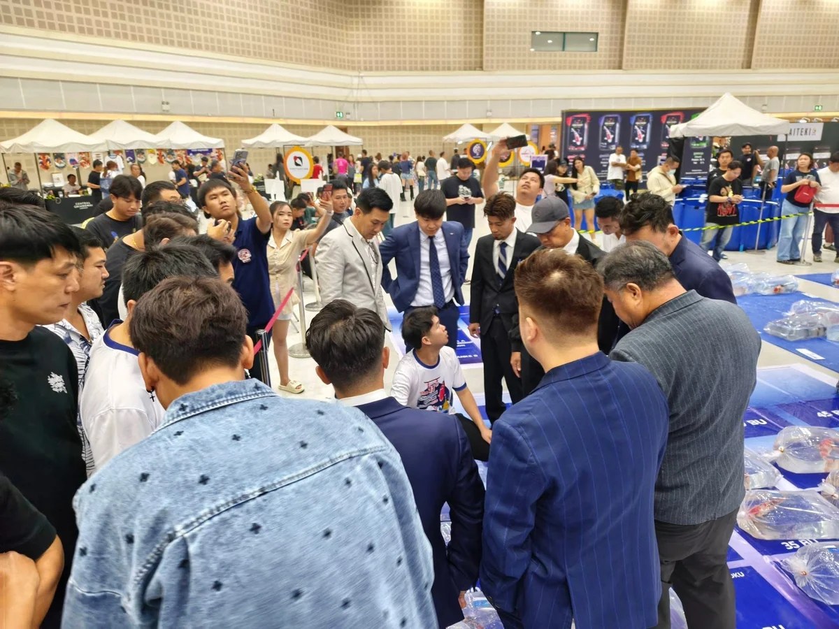 บรรยากาศการตัดสินและการติดตามผลในพื้นที่ประกวด
