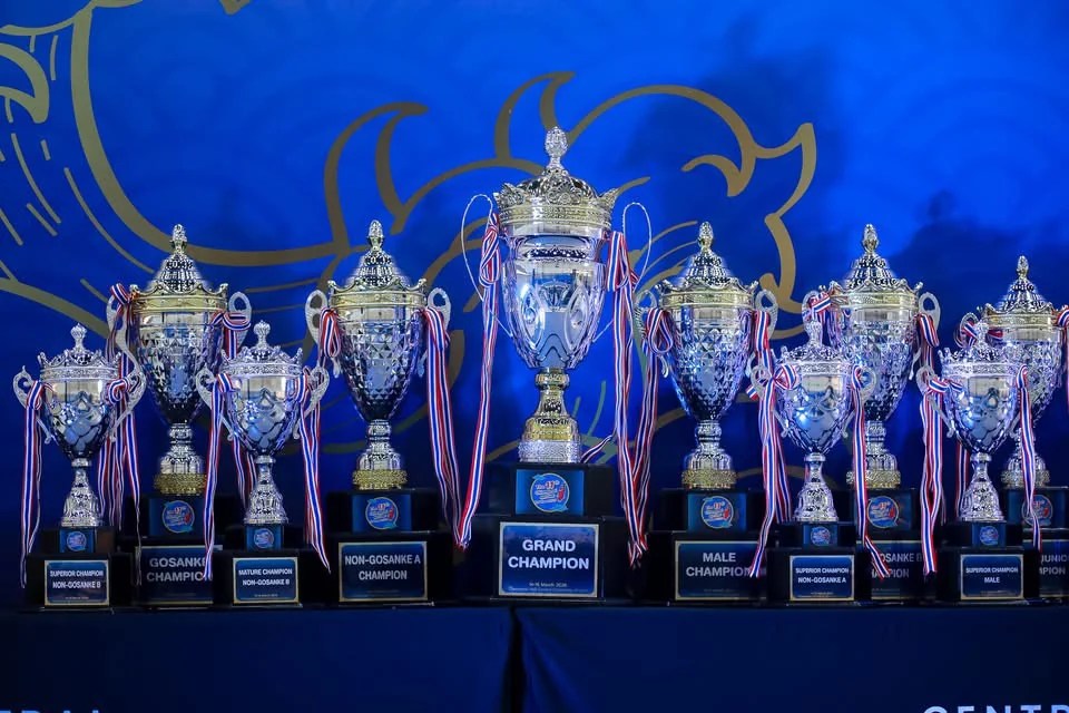 ถ้วยรางวัลในการแข่งขัน โดยมีถ้วย Grand Champion อยู่ตรงกลาง