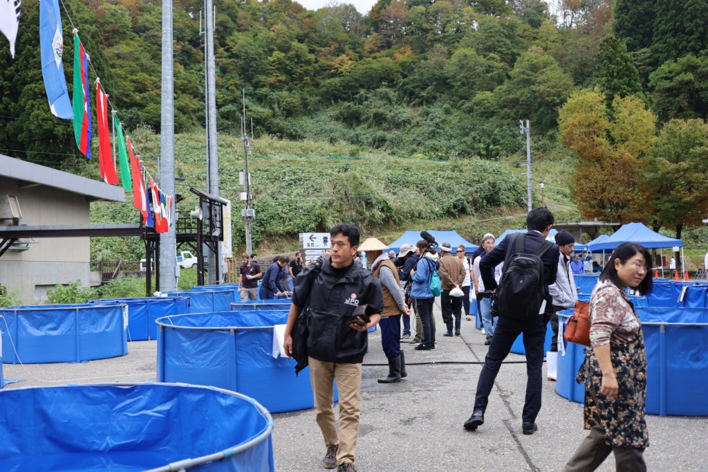 บรรยากาศบ่อประกวดกลางแจ้ง ในงาน Nagaoka ปี 2019