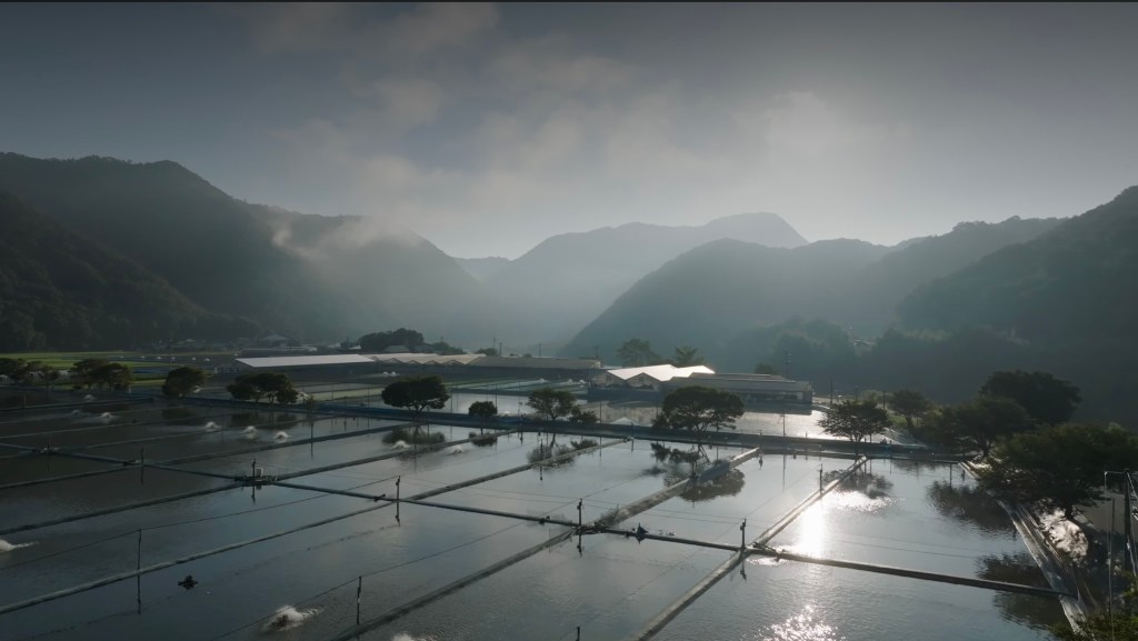 พื้นที่บ่อเลี้ยงของ Momotaro Koi Farm ท่ามกลางภูเขาที่โอคายามะ