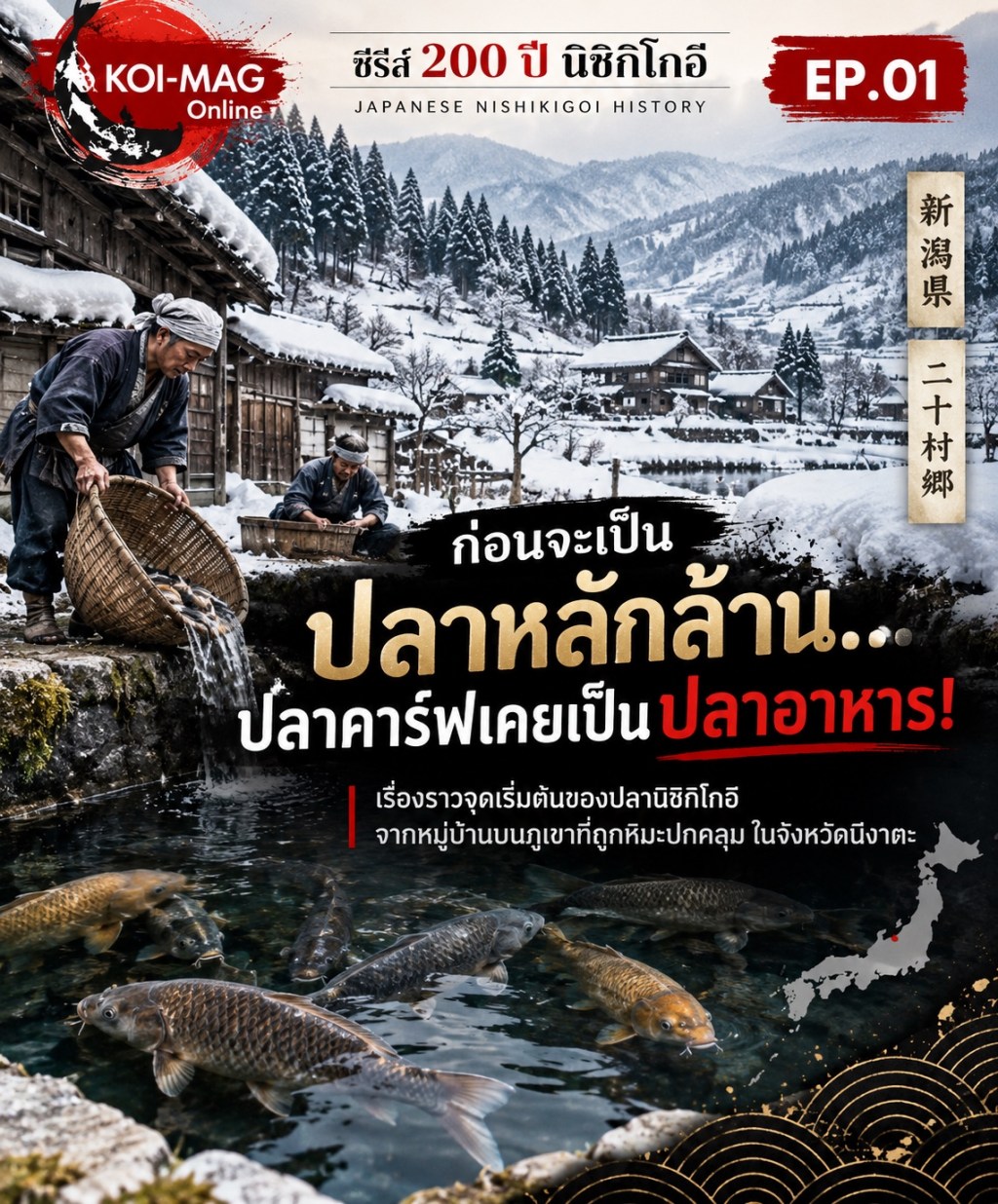 ประวัติปลาคาร์ฟญี่ปุ่น EP.01: จากปลาอาหารสู่จุดกำเนิดนิชิกิโกอิ