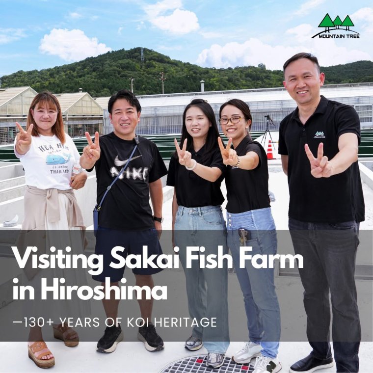 ทีม Mountain Tree เยี่ยมชม Sakai Fish Farm จังหวัดฮิโรชิมา ประเทศญี่ปุ่น