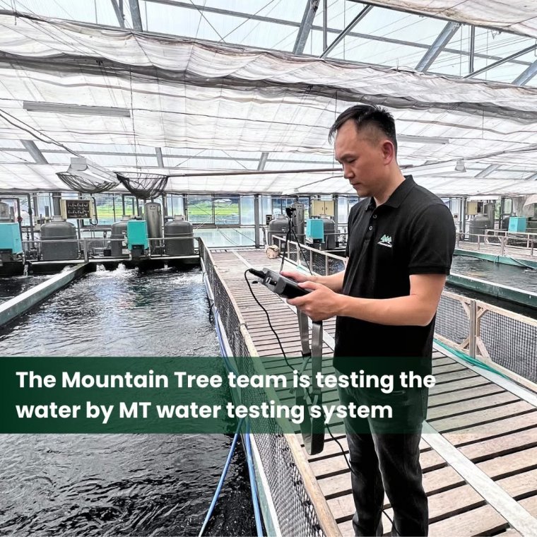 ทีม Mountain Tree ตรวจคุณภาพน้ำภายในโรงเรือนเลี้ยงปลาของ Sakai Fish Farm