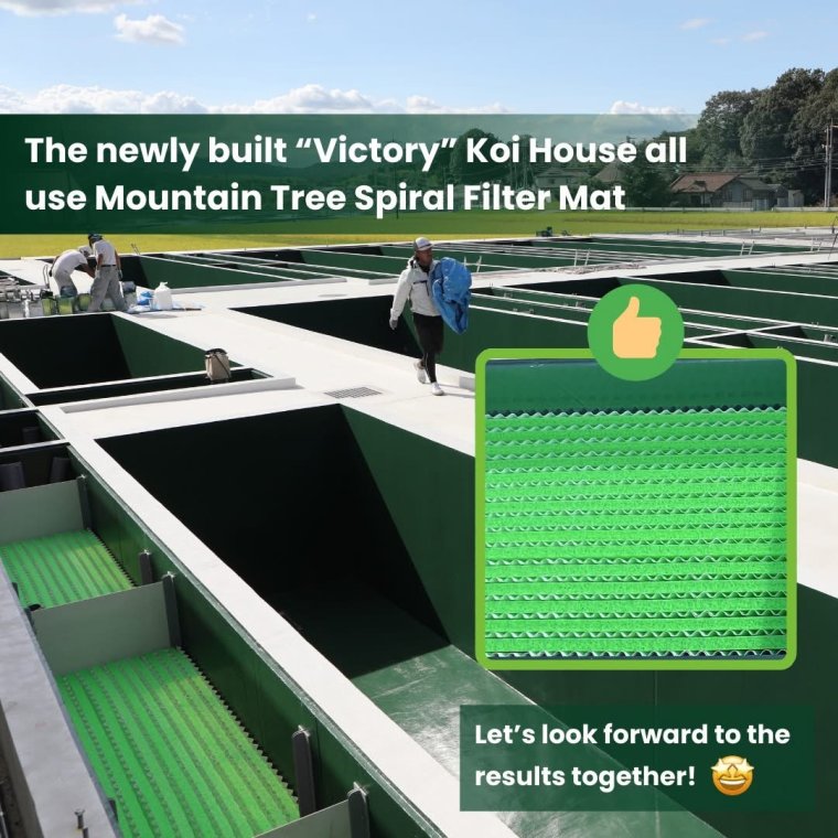 บ่อของโครงการ Victory House ที่ Sakai Fish Farm และวัสดุกรอง Mountain Tree Spiral Filter Mat