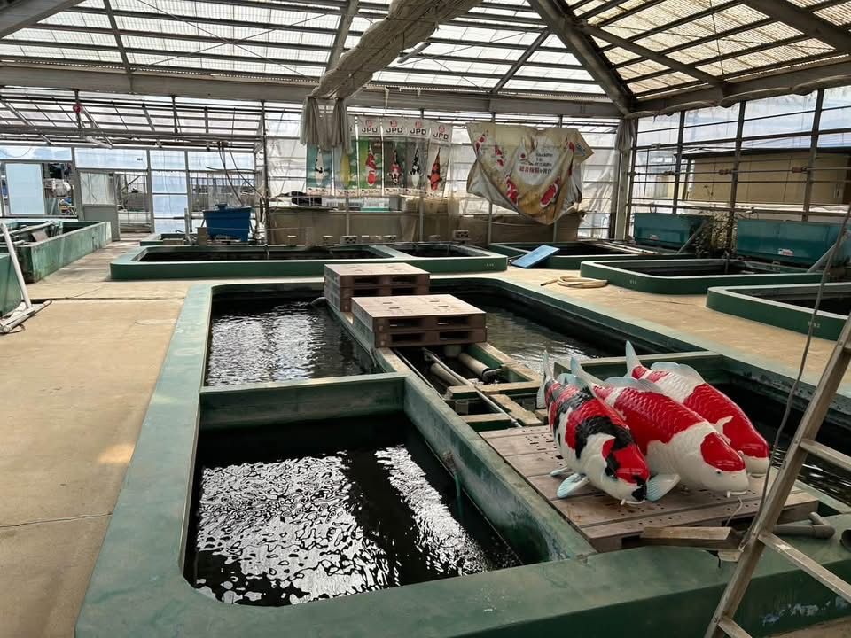 Tani Fish Farm เปิดระดมทุนฟื้นฟูหลังน้ำท่วมใหญ่ JPD ร่วมแรงช่วยเหลือ
