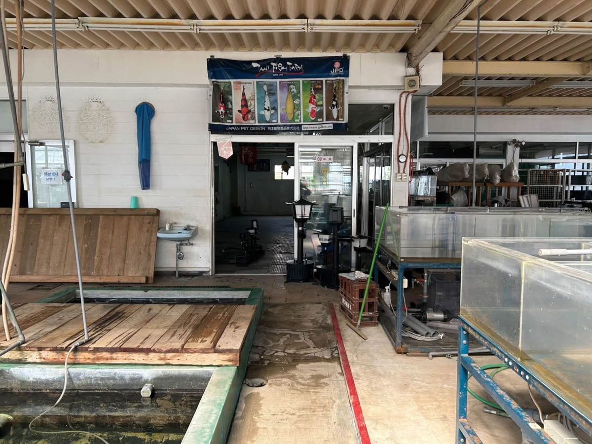 บ่อเลี้ยง ตู้ปลา และอุปกรณ์ภายในอาคาร Tani Fish Farm